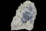 Purple/Gray Fluorite Cluster - Marblehead Quarry Ohio #81186-1